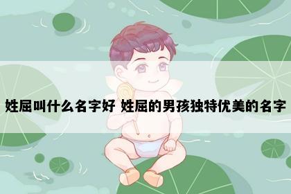 姓屈叫什么名字好 姓屈的男孩独特优美的名字